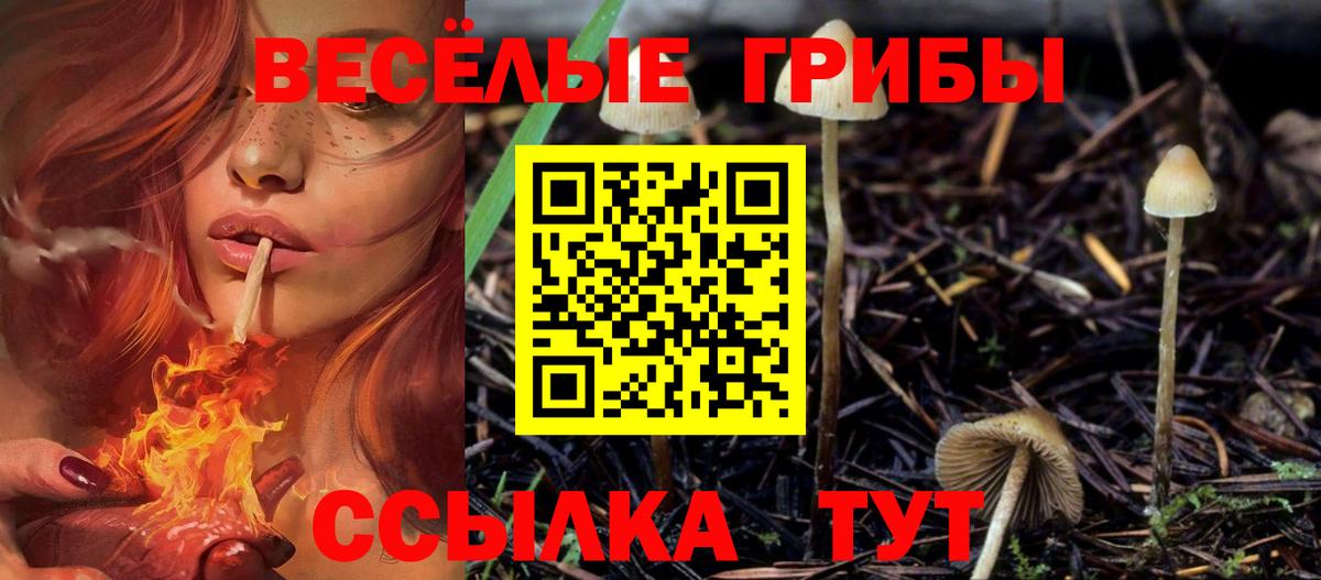 Семилуки  Галлюциногенные грибы мицелий  Вход с VPN 